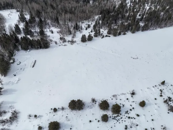 $250,000 | 89.85-acres South Pellman Loop, Maple, WI 54854