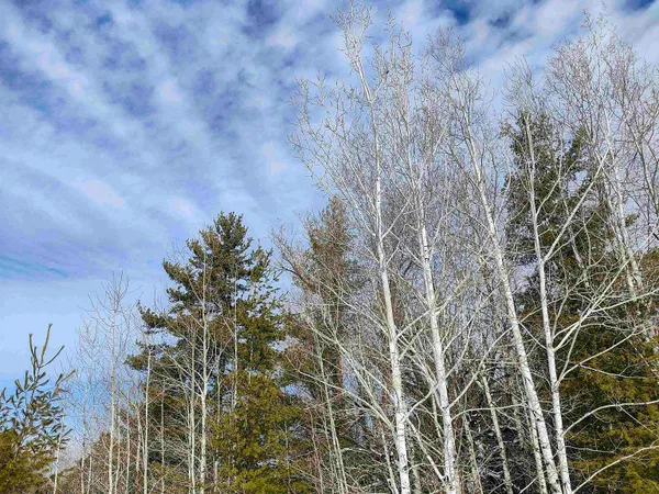 $250,000 | 89.85-acres South Pellman Loop, Maple, WI 54854