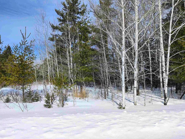 $250,000 | 89.85-acres South Pellman Loop, Maple, WI 54854