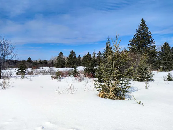 $250,000 | 89.85-acres South Pellman Loop, Maple, WI 54854