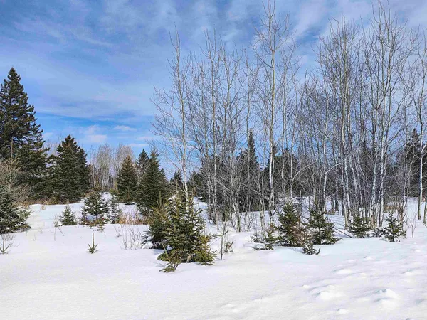 $250,000 | 89.85-acres South Pellman Loop, Maple, WI 54854