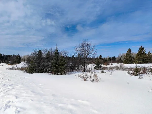 $250,000 | 89.85-acres South Pellman Loop, Maple, WI 54854