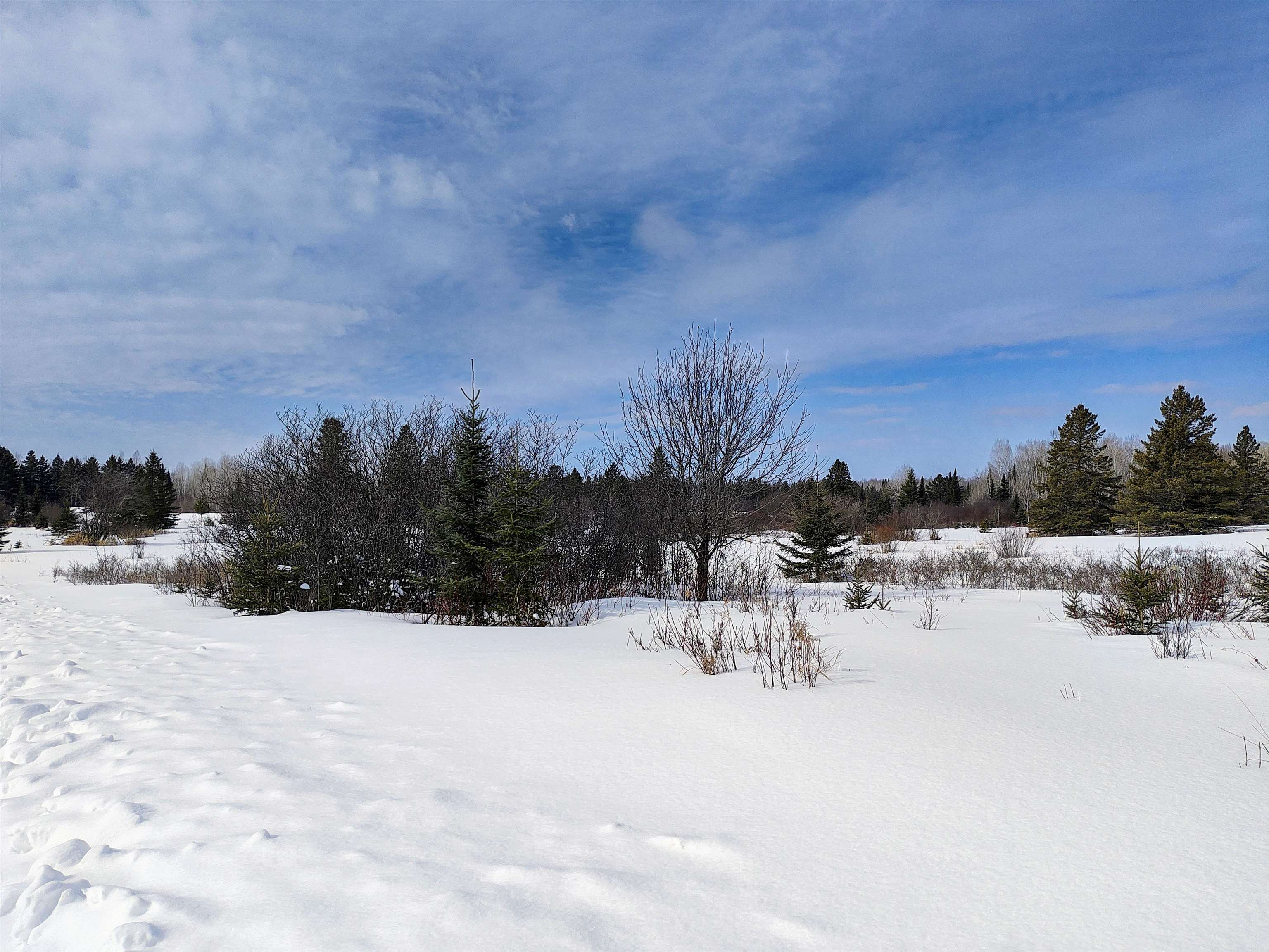 89.85-acres South Pellman Loop Maple, WI 54854 - Photo 36 of 50
