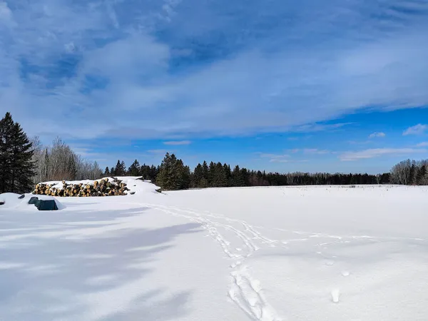 $250,000 | 89.85-acres South Pellman Loop, Maple, WI 54854