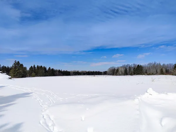 $250,000 | 89.85-acres South Pellman Loop, Maple, WI 54854