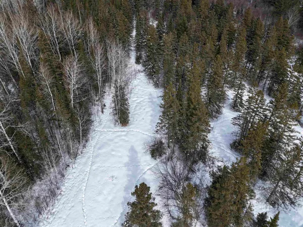 $250,000 | 89.85-acres South Pellman Loop, Maple, WI 54854