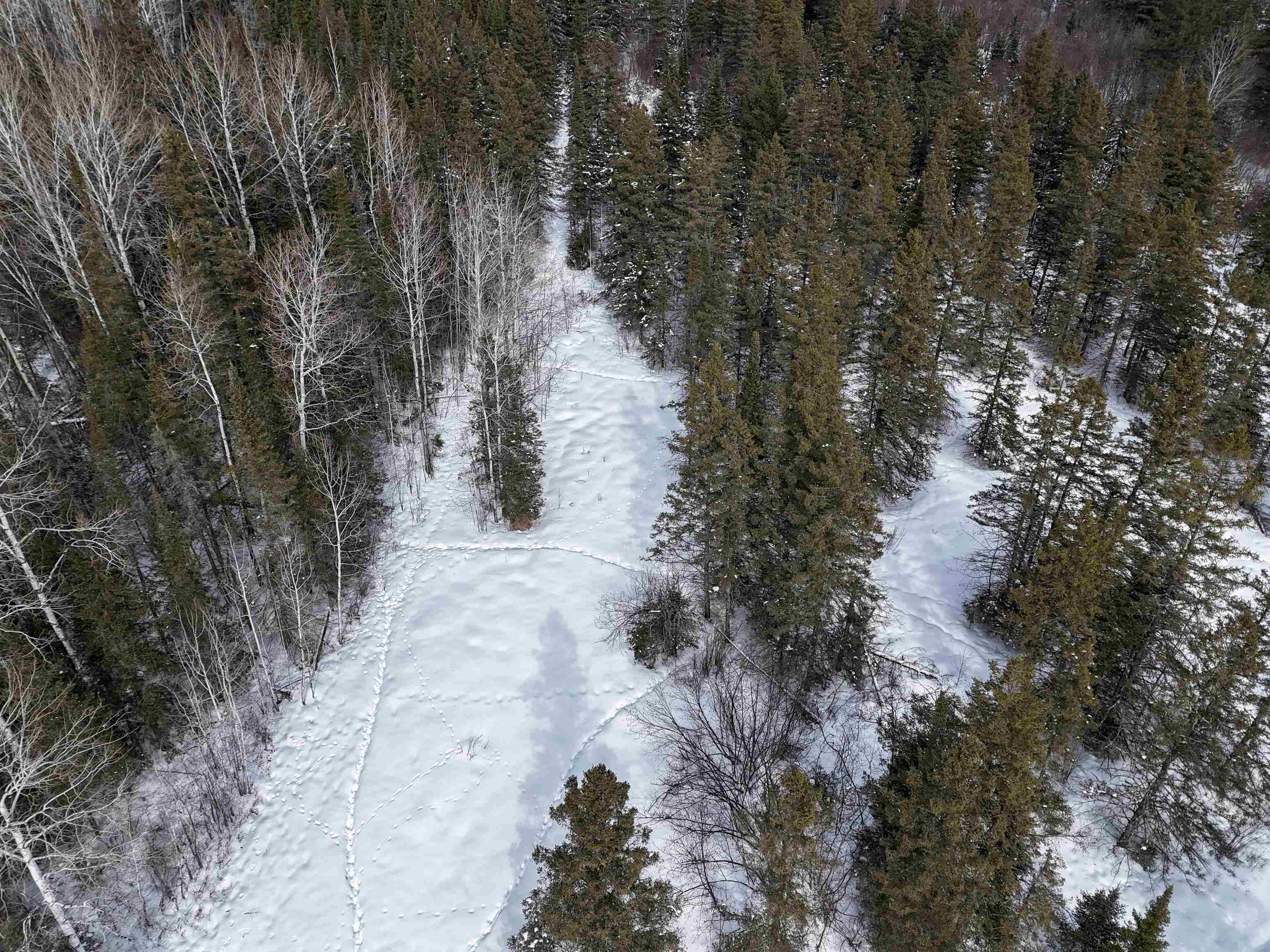 89.85-acres South Pellman Loop Maple, WI 54854 - Photo 40 of 50