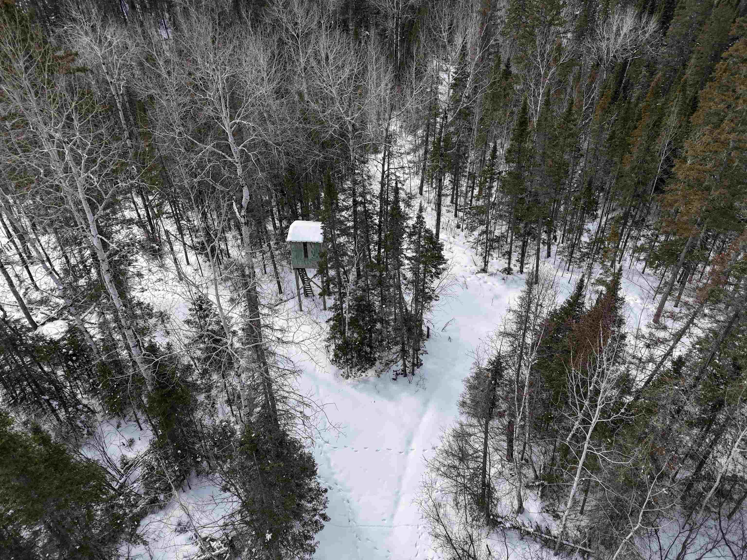 89.85-acres South Pellman Loop Maple, WI 54854 - Photo 41 of 50