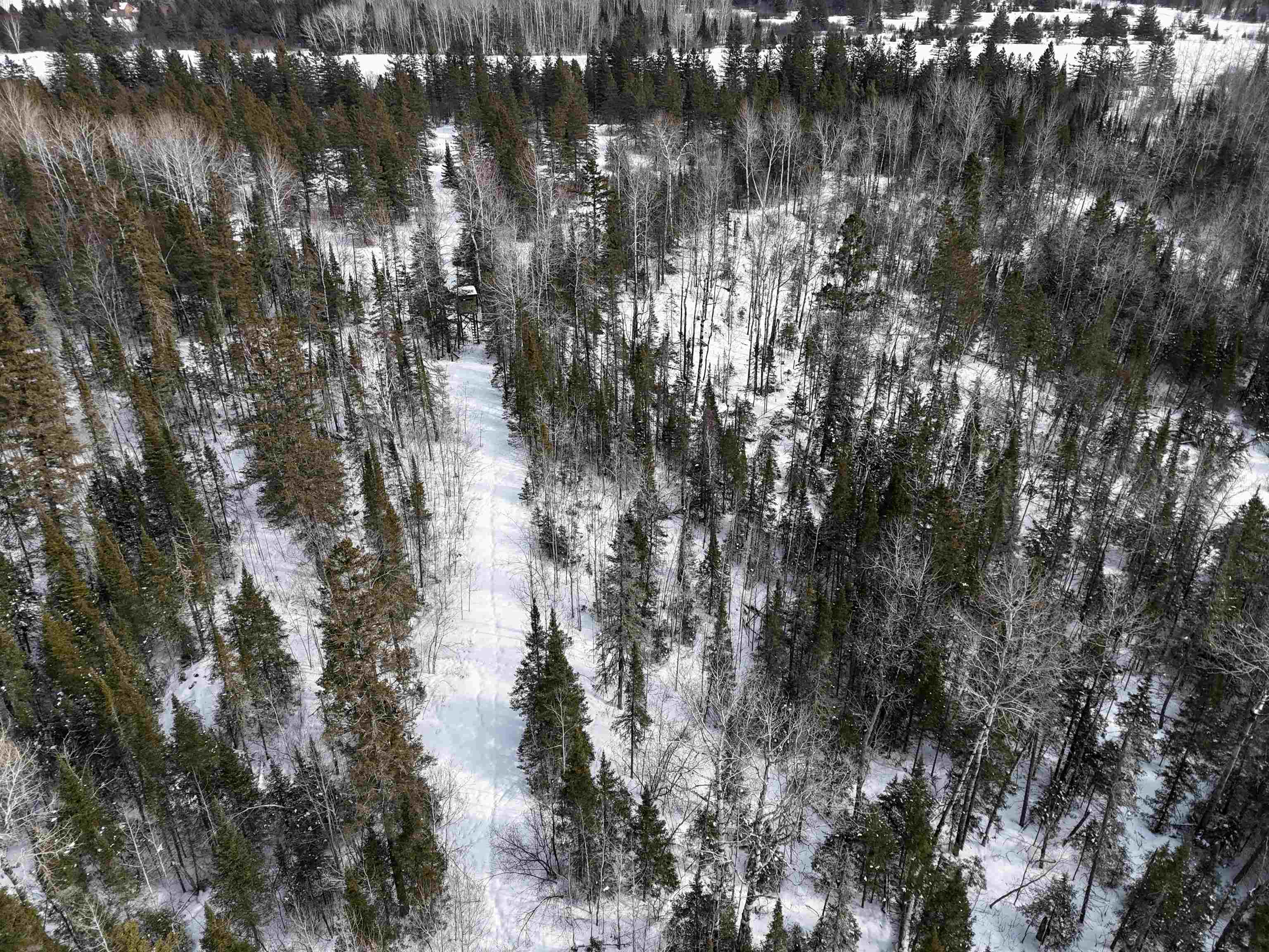 89.85-acres South Pellman Loop Maple, WI 54854 - Photo 42 of 50