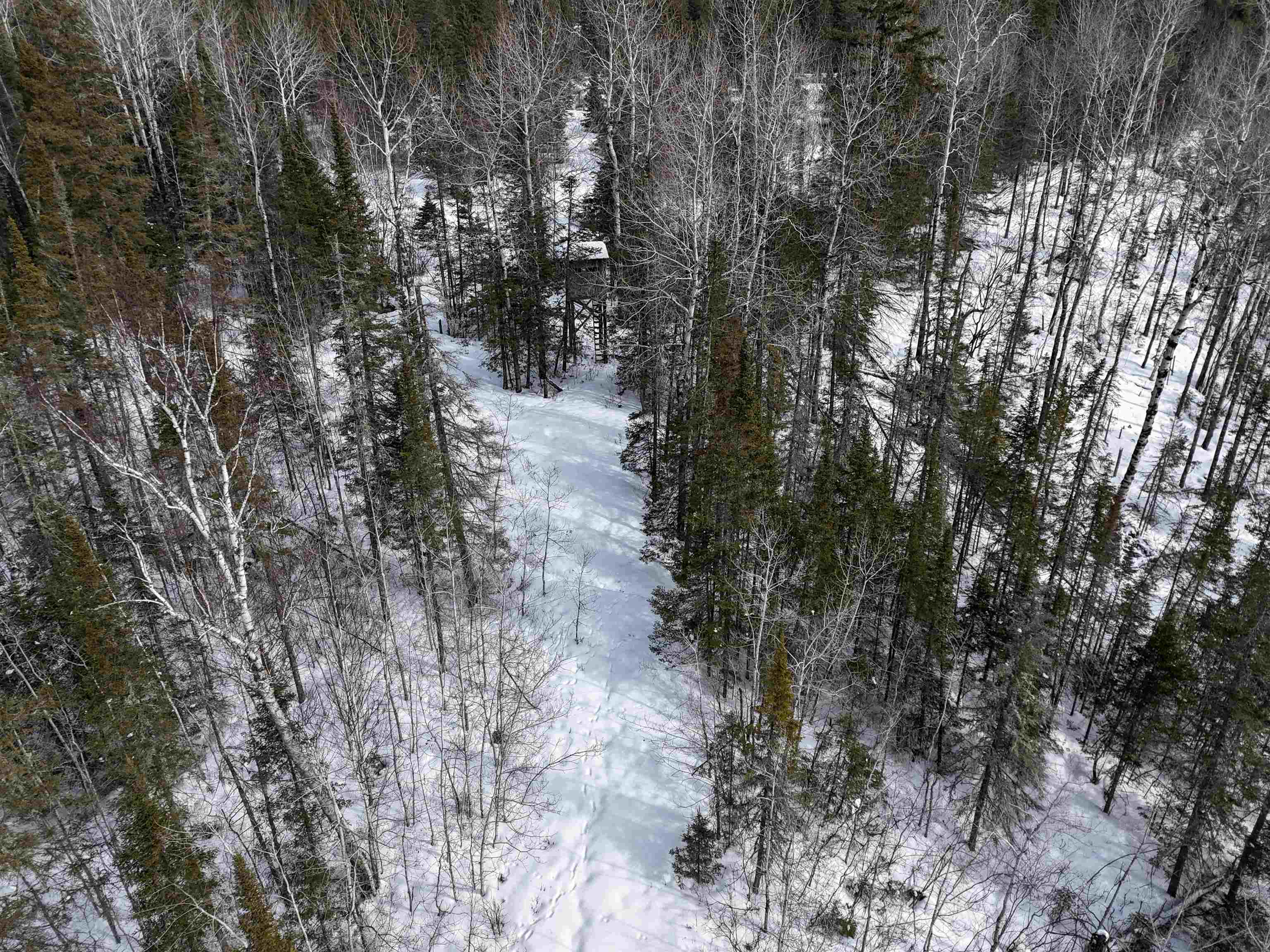 89.85-acres South Pellman Loop Maple, WI 54854 - Photo 43 of 50