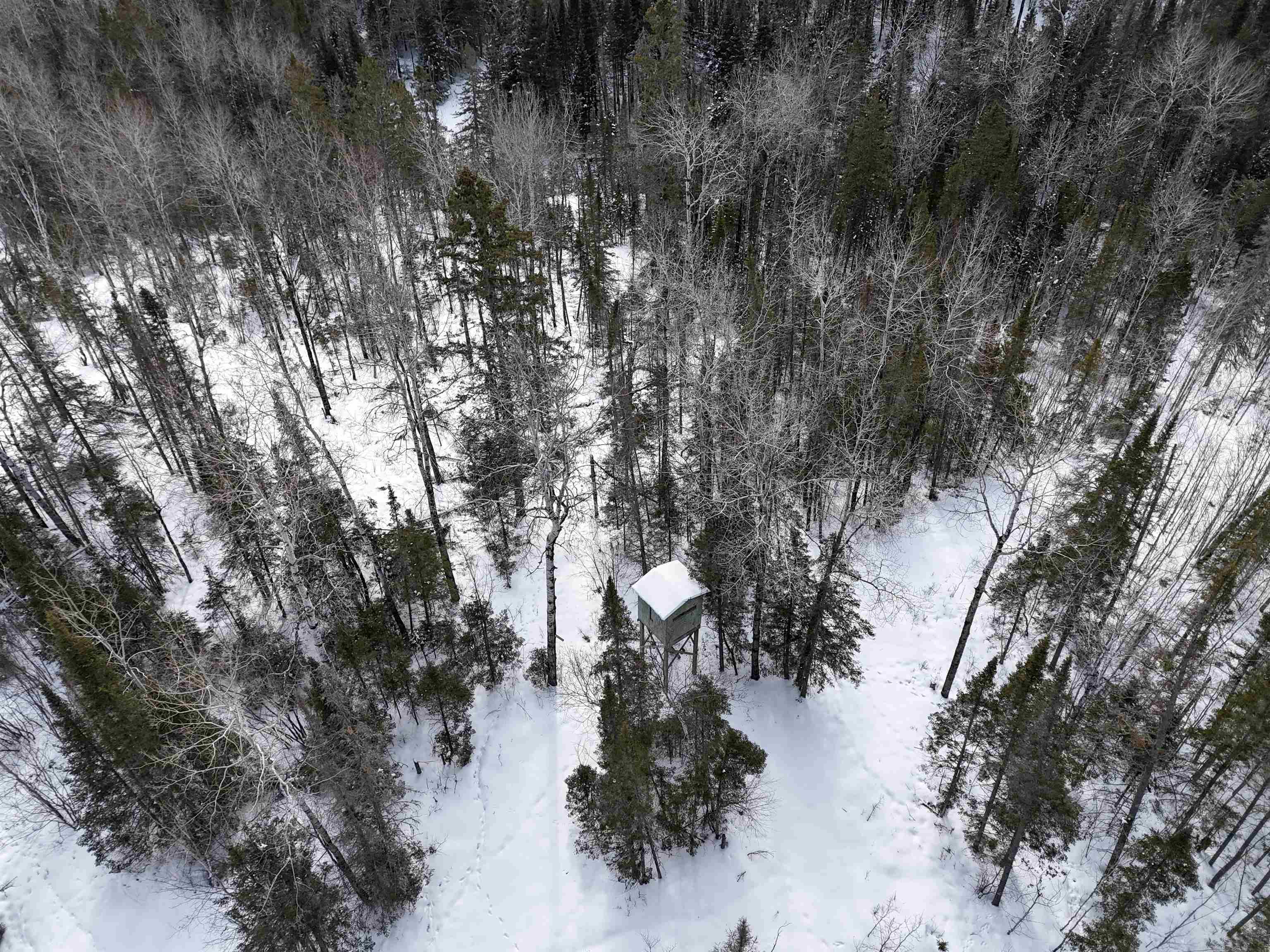 89.85-acres South Pellman Loop Maple, WI 54854 - Photo 44 of 50