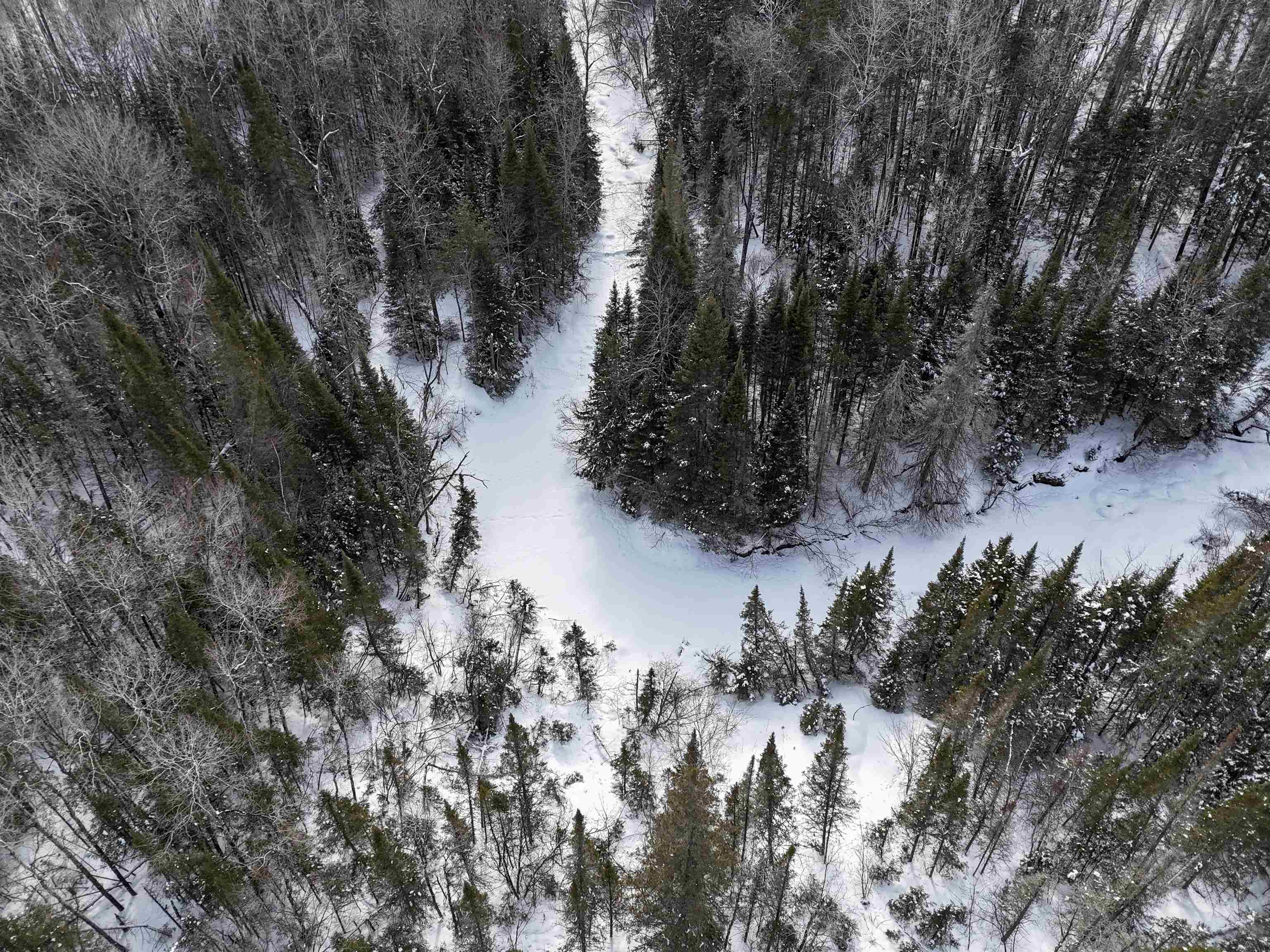 89.85-acres South Pellman Loop Maple, WI 54854 - Photo 45 of 50