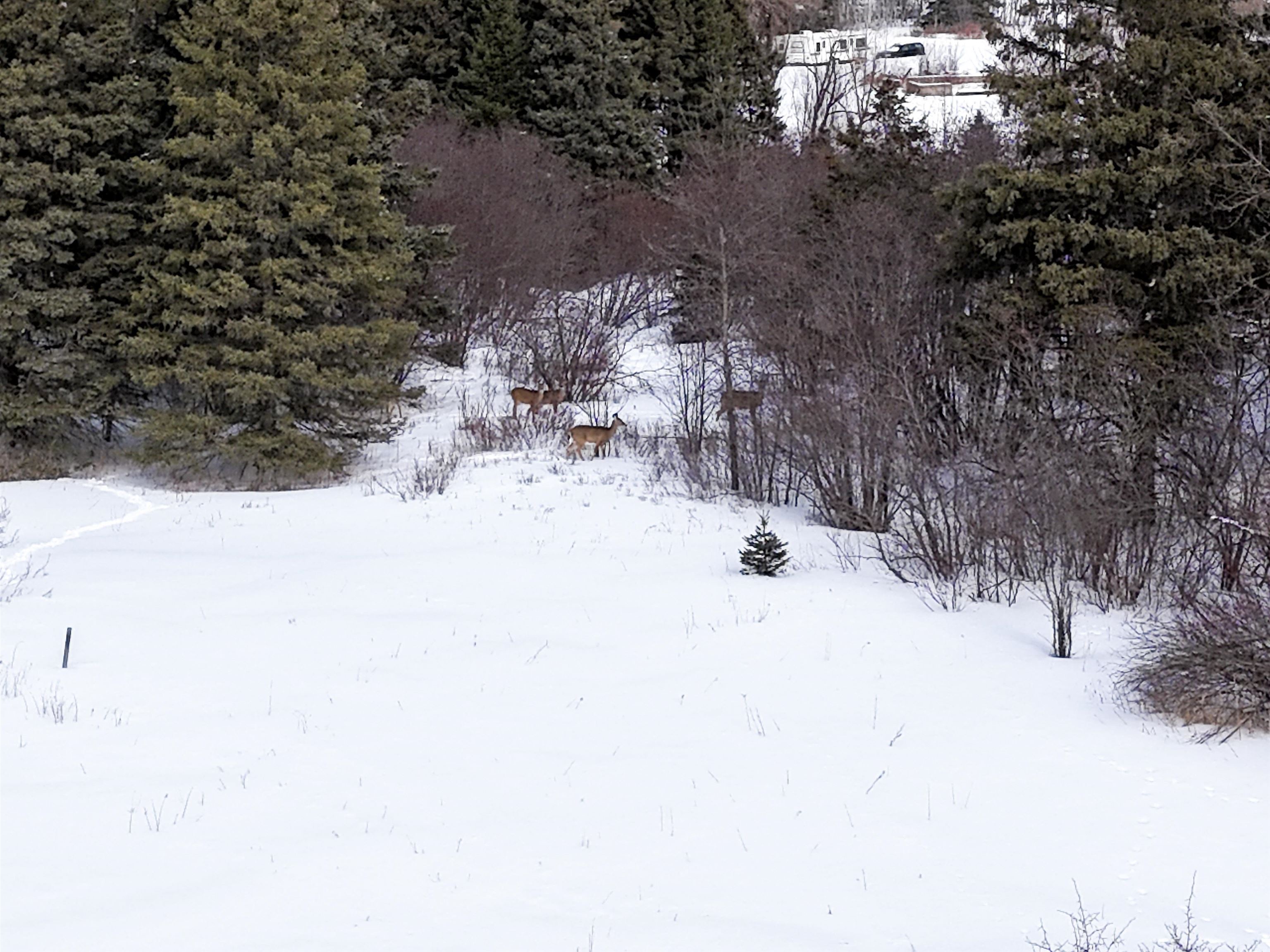 89.85-acres South Pellman Loop Maple, WI 54854 - Photo 49 of 50