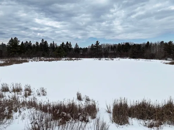 $250,000 | 89.85-acres South Pellman Loop, Maple, WI 54854