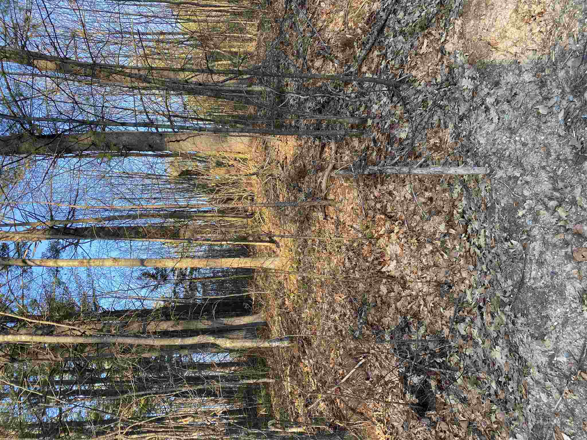 45 Robinhood Road, Unit 118 Wakefield, NH 03830 - Photo 1 of 3 Gallery Image 1