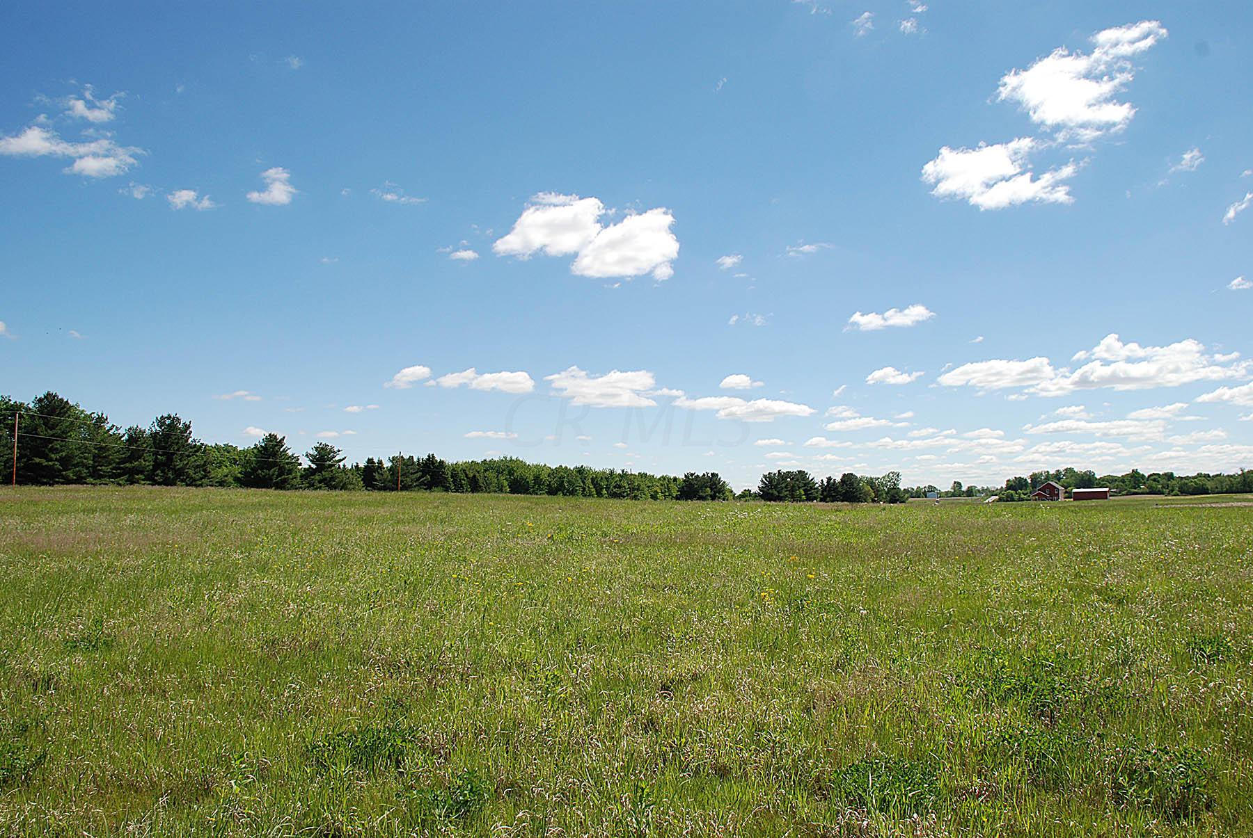 0 Panhandle Road, Unit TRACT 6 Delaware, OH 43015 - Photo 8 of 11