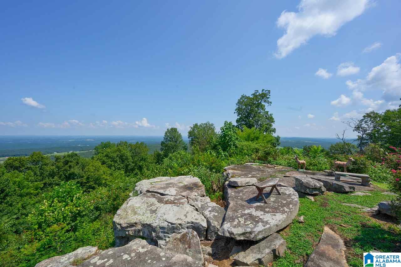 1458 Warnock Peak Road Hayden, AL 35079 - Photo 23 of 50