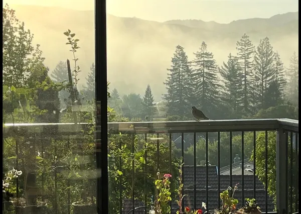 $2,150,000 | 118 Merion Terrace, Moraga, CA 94556