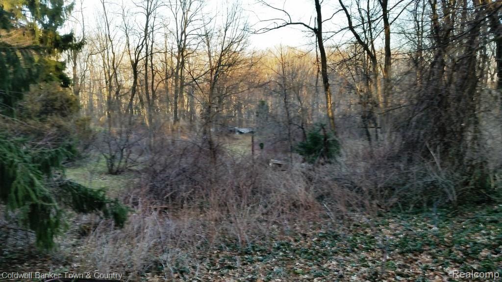 5155 North Hickory Ridge Road Holly, MI 48442 - Photo 17 of 23