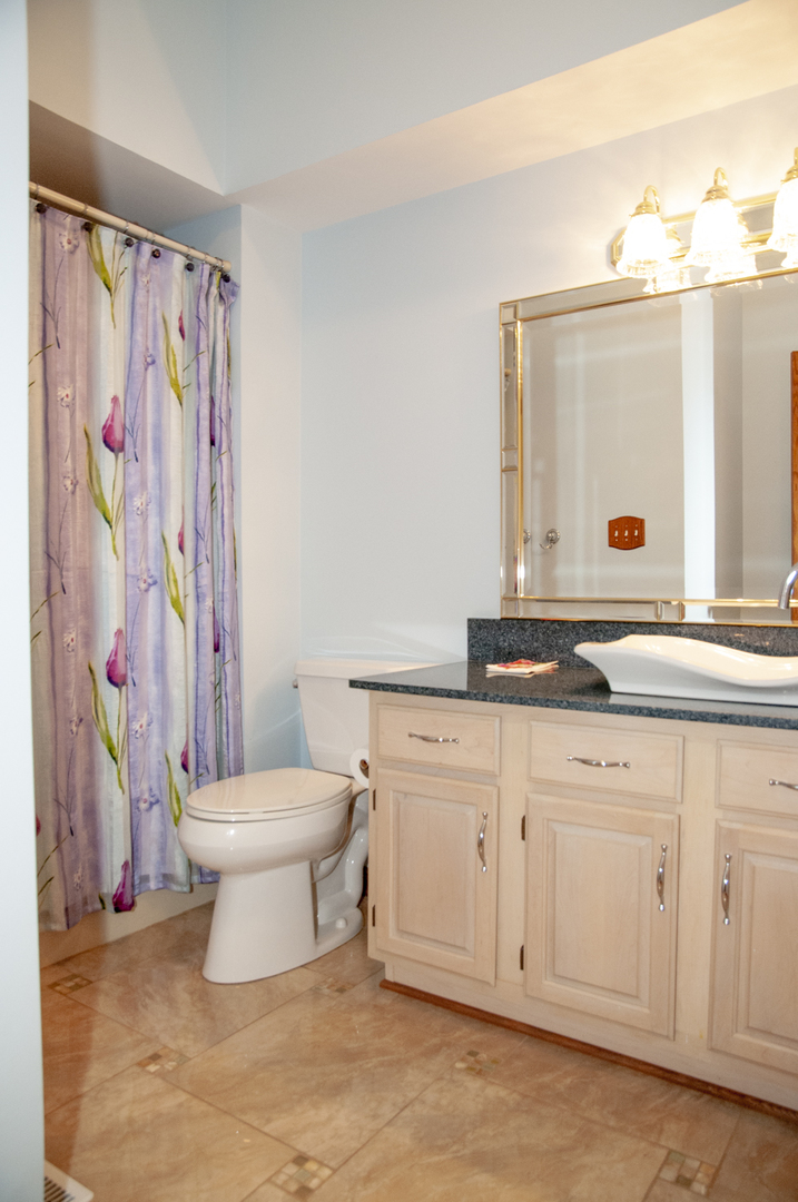 201 East Army Trail Road Bartlett, IL 60103 - Photo 17 of 59 a bathroom with a sink a toilet and a mirror