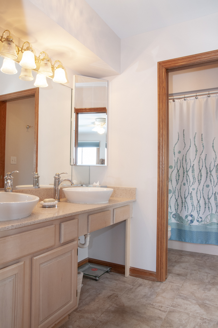 201 East Army Trail Road Bartlett, IL 60103 - Photo 45 of 59 a bathroom with a sink and a mirror