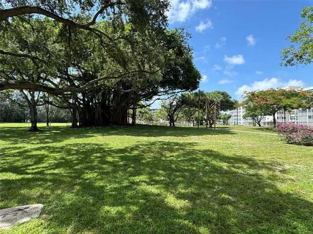 a view of a park with large trees