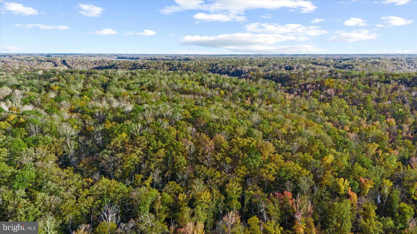0 Holly Corner Road Fredericksburg, VA 22406 - Photo 11 of 19 a view of a large yard with lots of green space