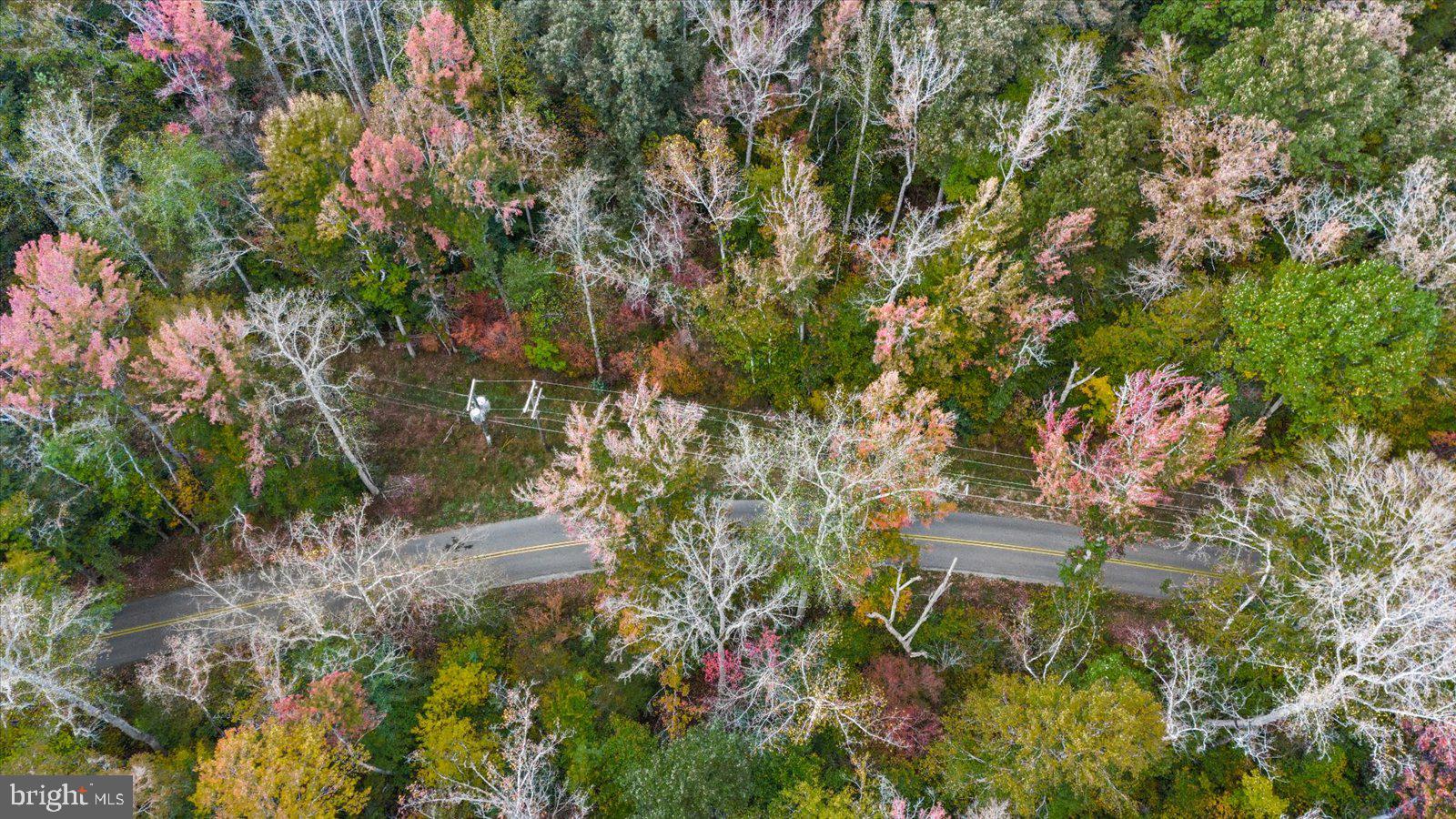 0 Holly Corner Road Fredericksburg, VA 22406 - Photo 12 of 19 a backyard of a house with lots of green space