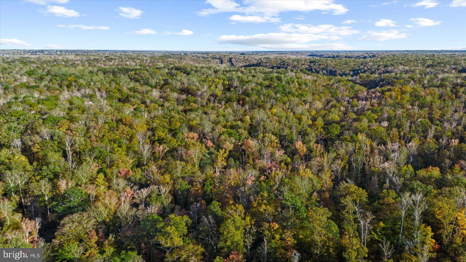 0 Holly Corner Road Fredericksburg, VA 22406 - Photo 13 of 19 a view of a field with an outdoor space