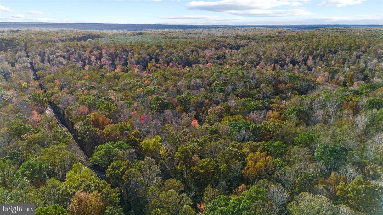0 Holly Corner Road Fredericksburg, VA 22406 - Photo 16 of 19 a view of a city with lush green forest