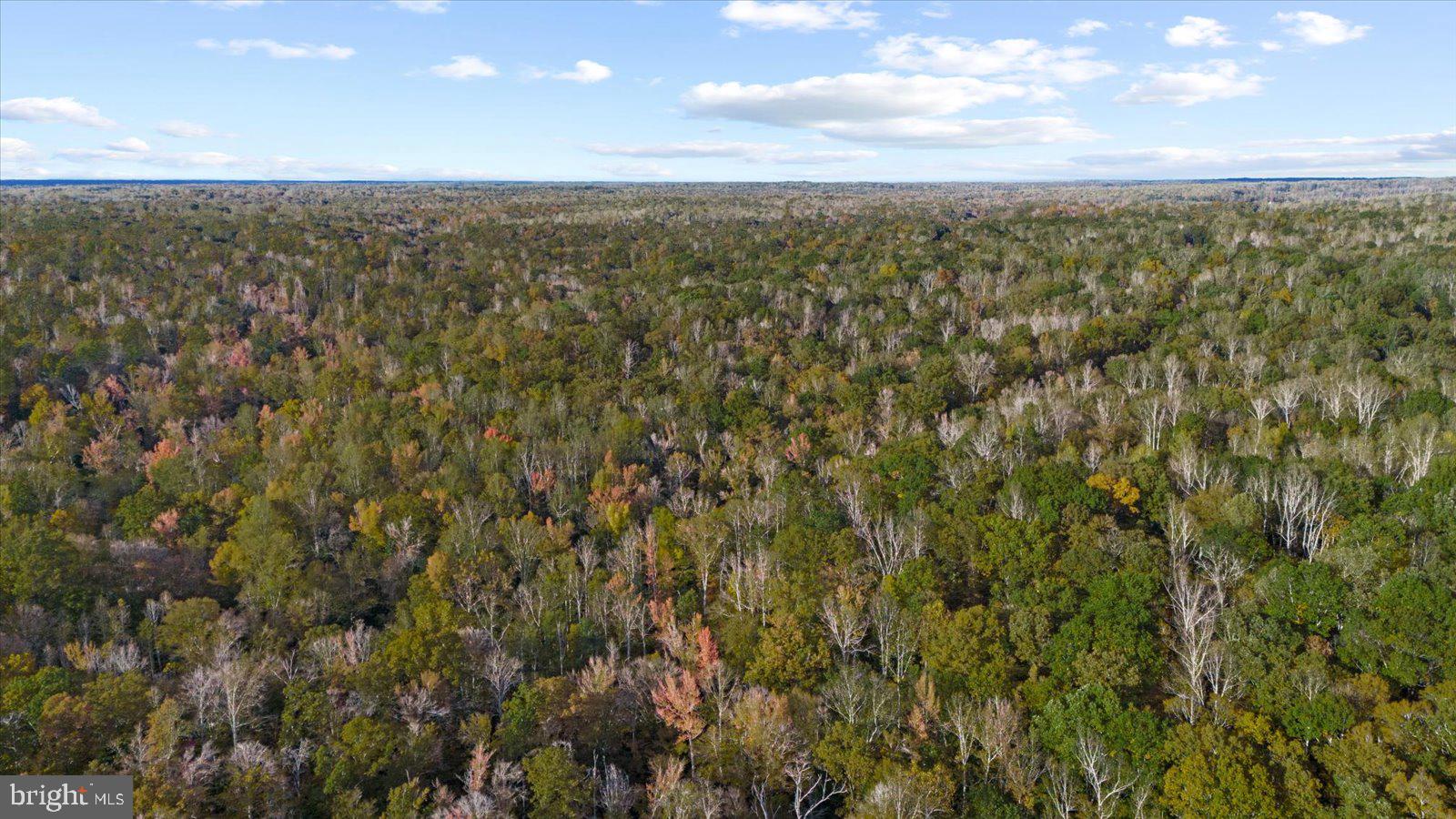 0 Holly Corner Road Fredericksburg, VA 22406 - Photo 17 of 19 a view of a city