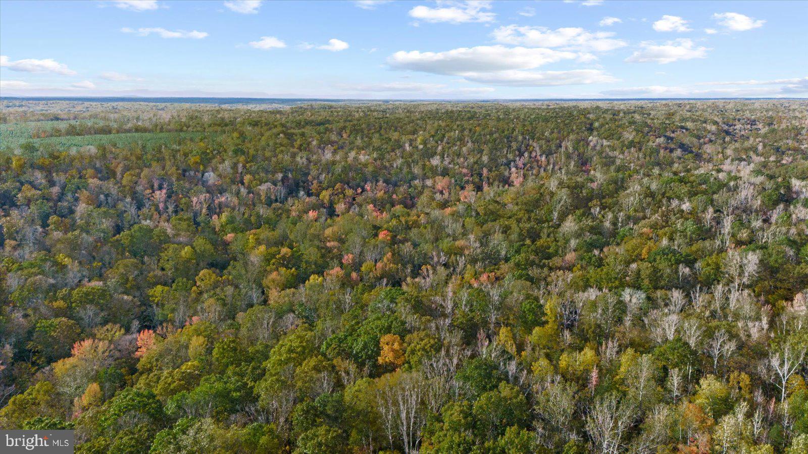 0 Holly Corner Road Fredericksburg, VA 22406 - Photo 18 of 19 a view of a city