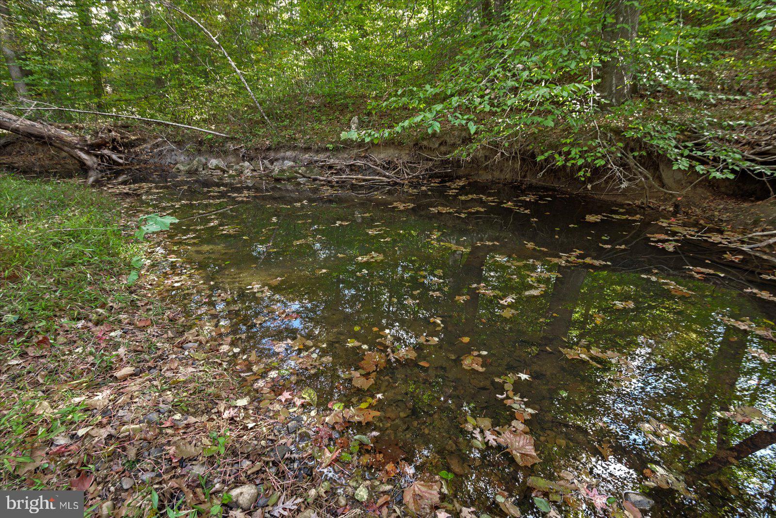 0 Holly Corner Road Fredericksburg, VA 22406 - Photo 4 of 19 a view of a lush green space