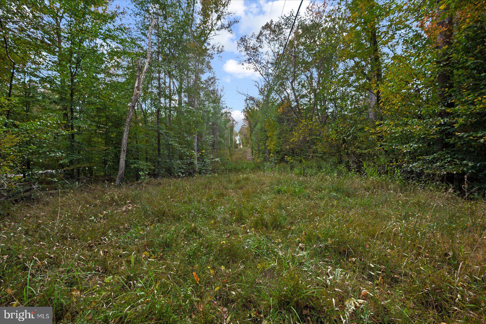 0 Holly Corner Road Fredericksburg, VA 22406 - Photo 5 of 19 a view of outdoor space and green field