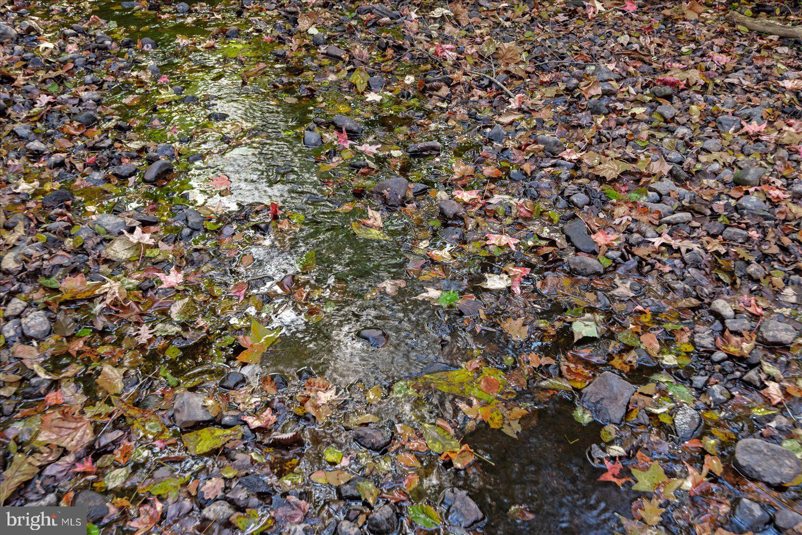 0 Holly Corner Road Fredericksburg, VA 22406 - Photo 7 of 19 a view of a tree