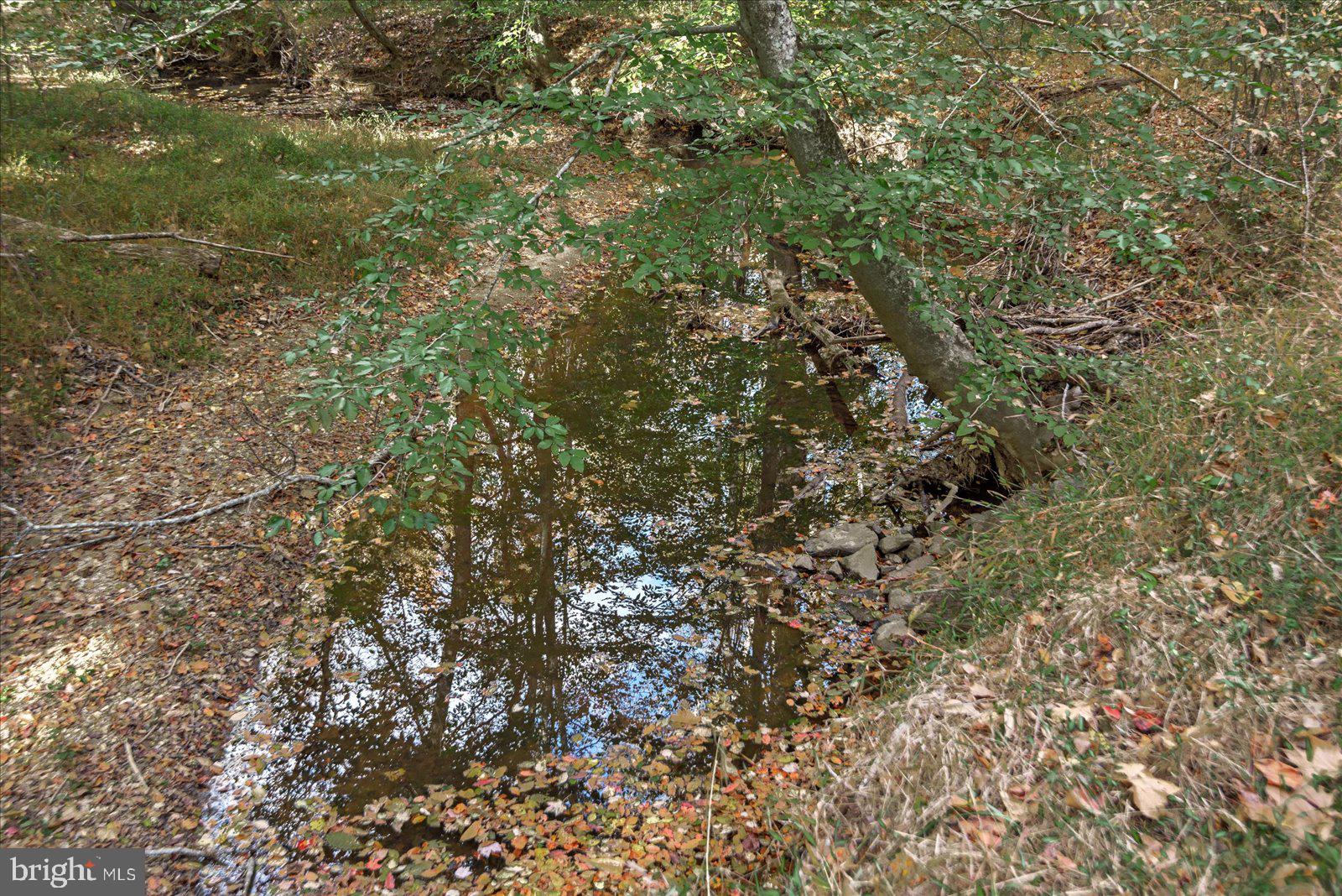 0 Holly Corner Road Fredericksburg, VA 22406 - Photo 10 of 19 a view of a tree