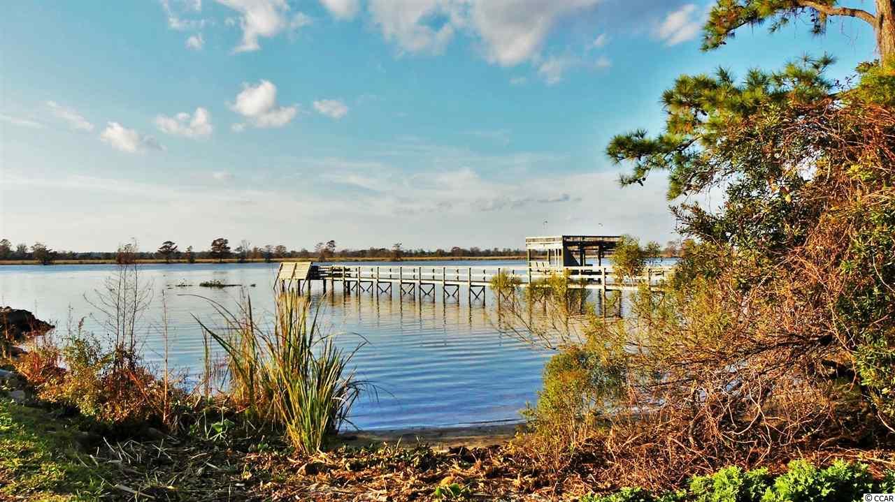 Tbd Springfield Road Pawleys Island, SC 29585 - Photo 6 of 12 Gallery Image 6