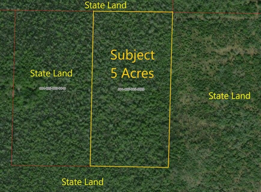 5-acres North Everett Road Roscommon, MI 48653 - Photo 7 of 8 Gallery Image 7