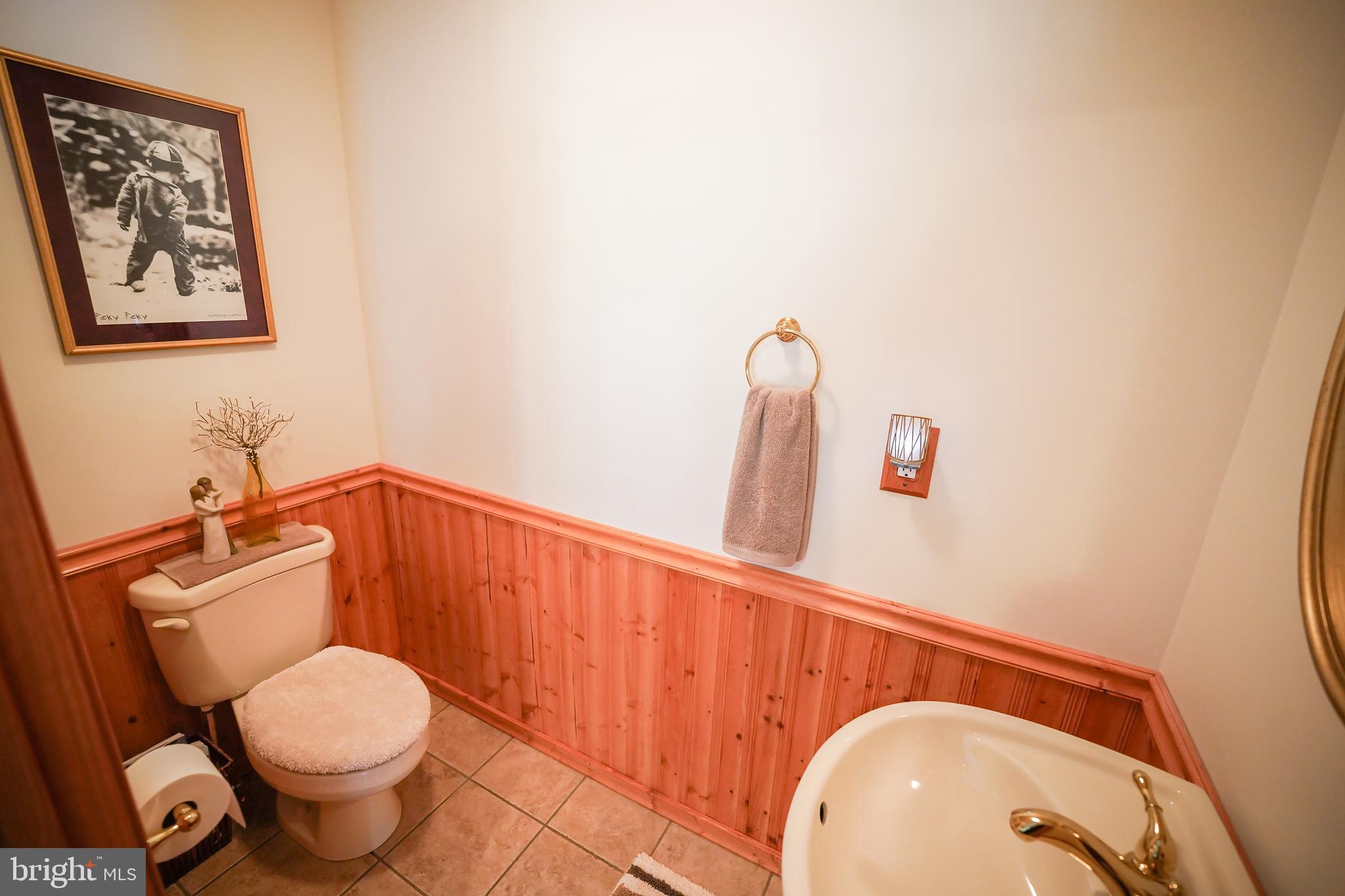 26383 Quantico Creek Road Hebron, MD 21830 - Photo 54 of 99 Gallery Image 54