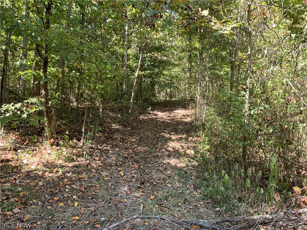 64601 Rosedale Road Salesville, OH 43778 - Photo 10 of 19 Gallery Image 10