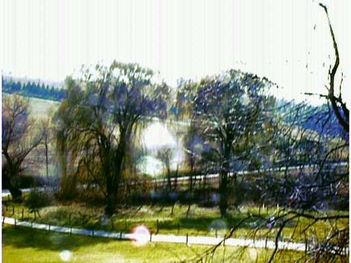 224 Locust Road Economy, PA 15005 - Photo 3 of 5