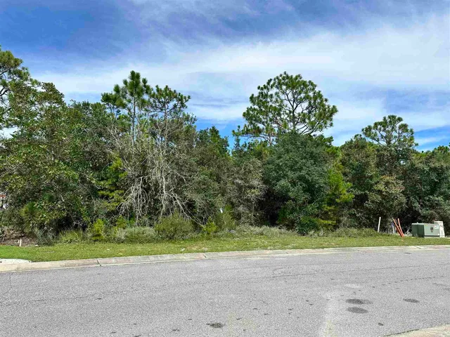 a view of a yard with a tree