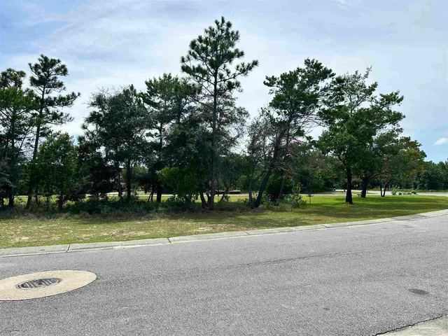 a view of a park with large trees