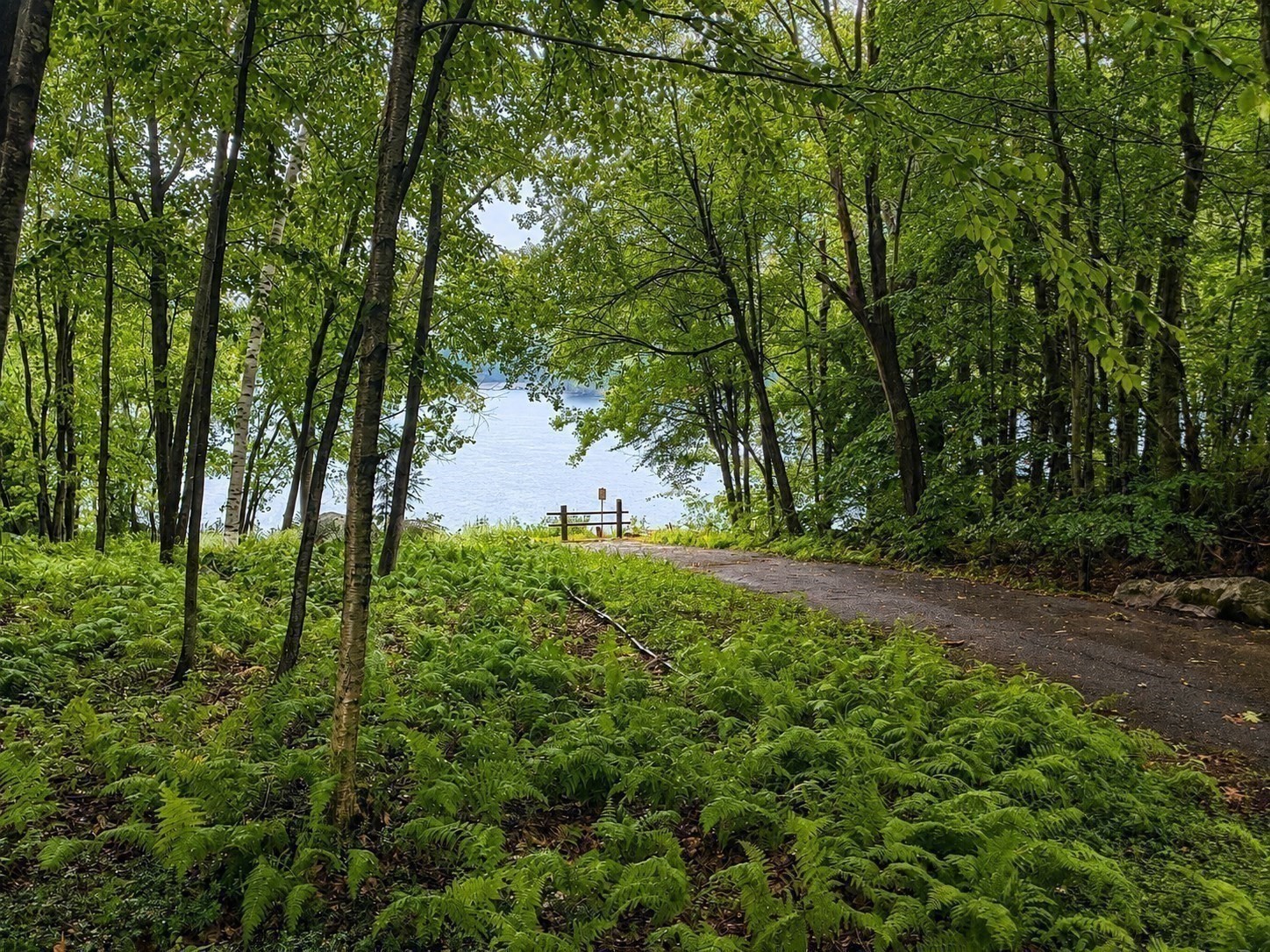50 Secret Lake Road Phillipston, MA 01331 - Photo 16 of 18 Gallery Image 16