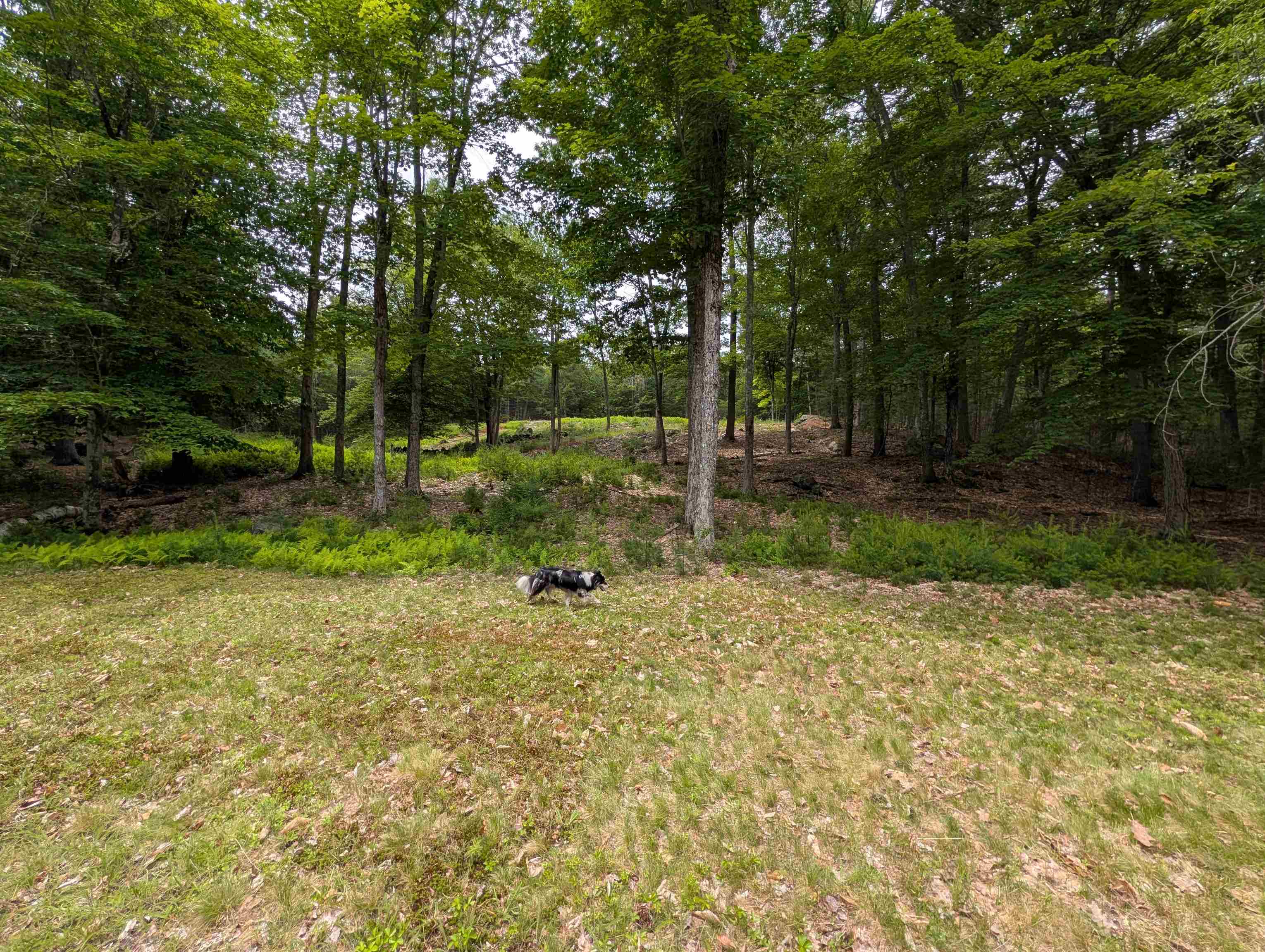 70 High Ridge Road Moultonborough, NH 03254 - Photo 29 of 37