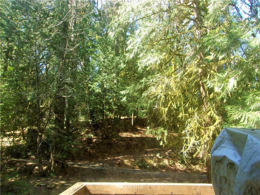 1 Mountain Trail Road Brinnon, WA 98320 - Photo 6 of 8 Gallery Image 6