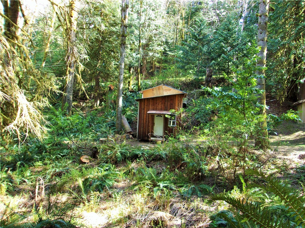 1 Mountain Trail Road Brinnon, WA 98320 - Photo 8 of 8 Gallery Image 8