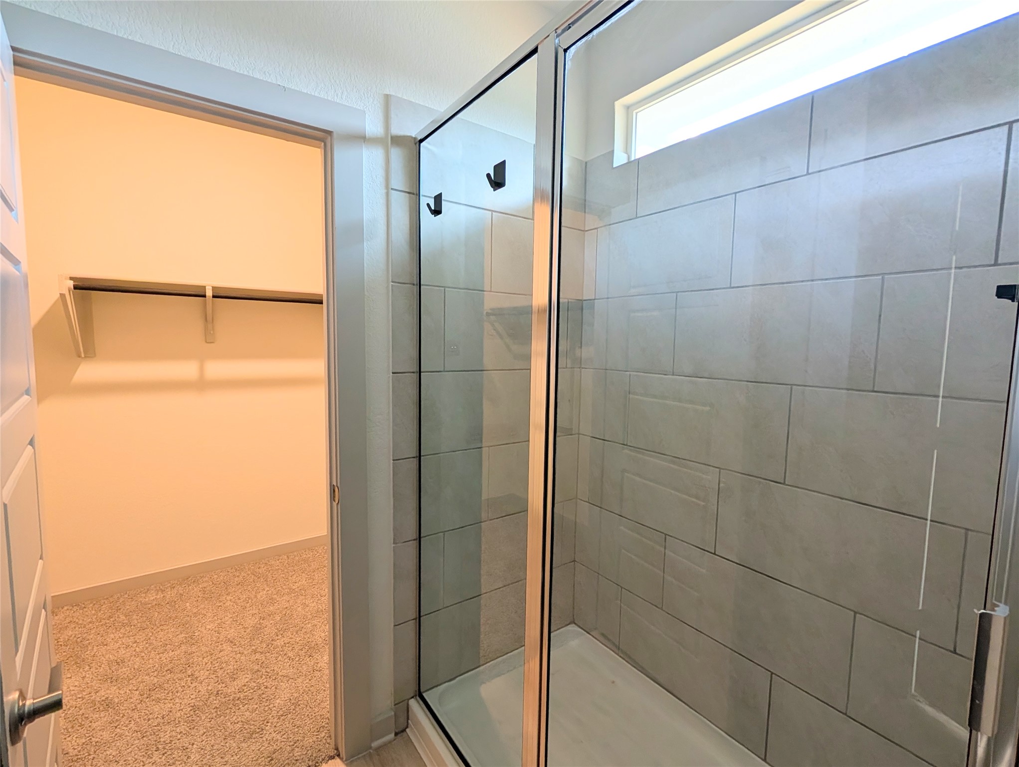 261 Century Plant Road Leander, TX 78641 - Photo 12 of 25 A well-appointed shower with glass enclosure adjoins a spacious walk-in closet.