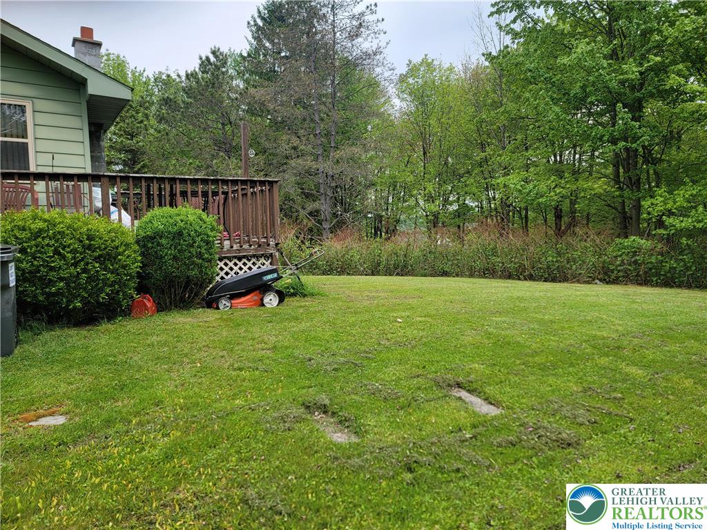 320 Hillside Street Forest City, PA 18421 - Photo 5 of 24 a backyard of a house with lots of green space