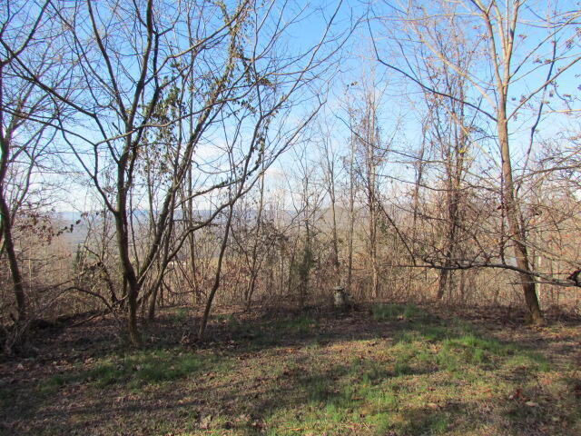 860 Ditch Gap Road Whitwell, TN 37397 - Photo 1 of 1 860 Ditch Gap
